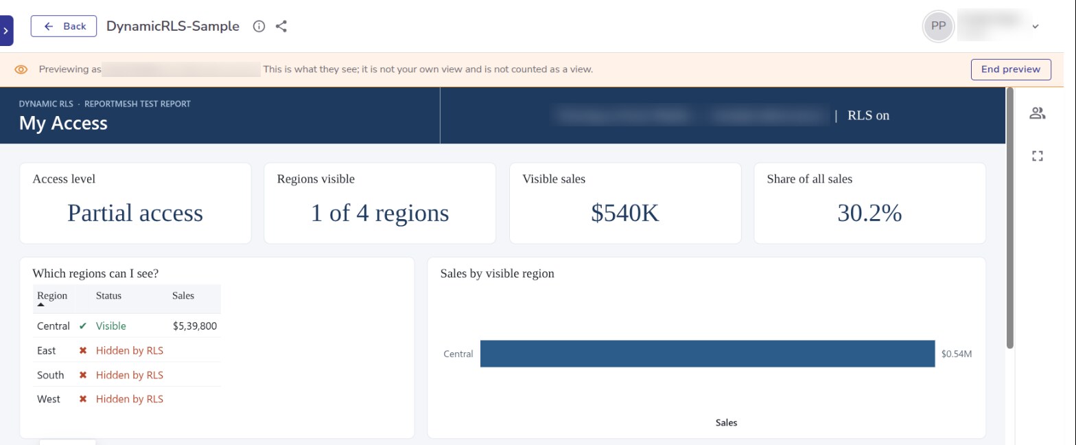 Previewing a report as one of its viewers